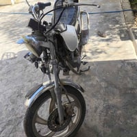 جني • موديل 16 • أوراق كامله