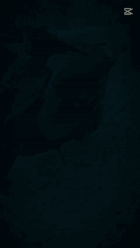 ماكس عدله اسود طافي الدراجه متعوب عليه بيه كفرات اربع ولفات كاملات صالنصه رياضي وياله رياضيه اشاير اربعه ولف كتف اشاره بوشه 55 كور ابلادي شغاله سلف هندر   تشتغل كهرباءيات شغاله ما عوزه بس شخاطه وعداد وستان نص  امراوس اب دراجه بلاديه بوليس ماكس عدله او  بيع السعر خاص  وهاذ رقمي مفتوح ***********
