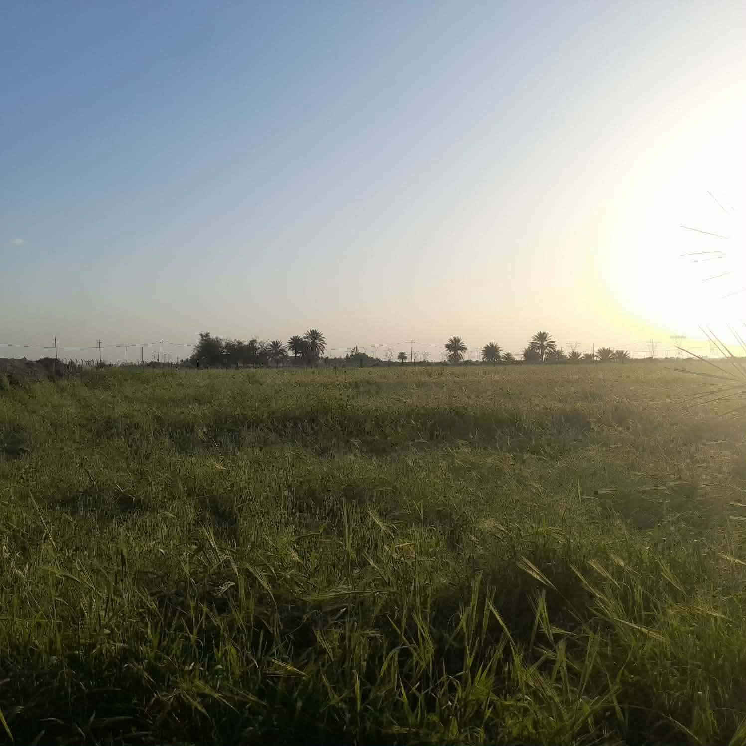 🌿 فرصة استثمارية مميزة – أرض زراعية للبيع على قرار 117 🌿

📍 المساحة: 12 دونم
🏡 تحتوي على بيتين بناء حديث

🌴 تضم 14 نخلة مثمرة
💧 متوفر ماء نهر + ماء إسالة
⚡ الكهرباء متوفرة
🚜 الأرض جاهزة للزراعة مباشرة
🛣️ قرب مطعم عبدالله/تبعد عن الشارع العام 3 كم فقط

✅ موقع مناسب للسكن والاستثمار الزراعي
✅ جميع المقومات الأساسية متوفرة
✅ فرصة ممتازة للراغبين بالزراعة أو إنشاء مشروع زراعي متكامل

للاستفسار والمزيد من التفاصيل يرجى التواصل على الخاص او الاتصال على الرقم ***********
