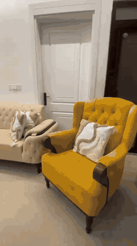 ديوان حرف L اخو الجديد ماركه تركي  07509656757