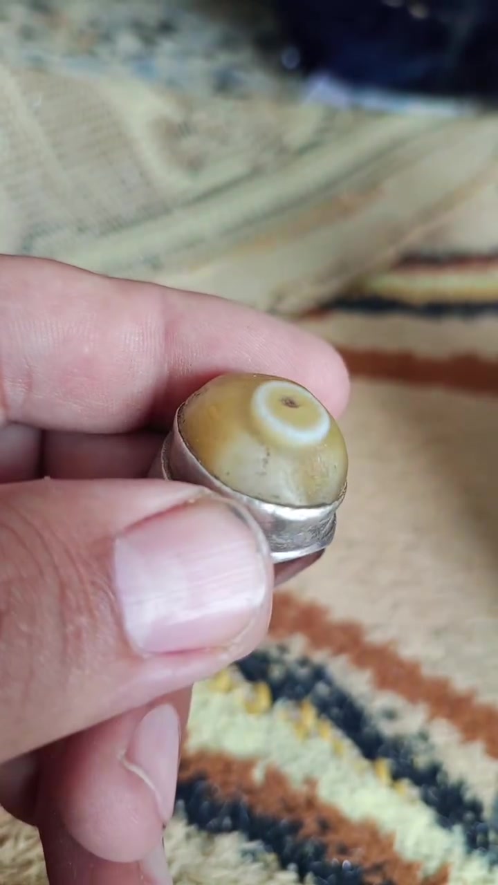 للبيع


**إذا كنت صاحب هذا الإعلان وتريد حذفه لأي سبب، رجاءا أرسل رسالة إلى الدعم الفني**