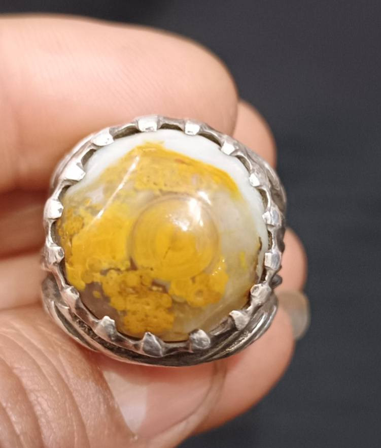 داوودي للبيع بغداد ***********
