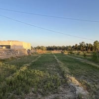 بابل البوعلوان • ٢٥٠٠م • سند ٢٥ طابو