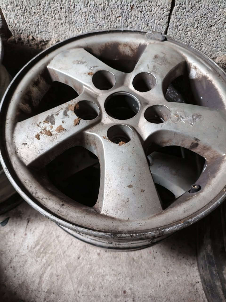 تخم ويل ستاركس حاويه 2007
سعرهن 300 قفل عنوانهن ديالى بعقوبه حي المعلمين ***********
