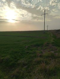 ارض زراعيه • ٣٥ دونم • قريه قرطبه