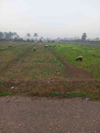 يوجد دونم ونص طابو ملك صرف للبيع  بسعر 325 منطقة أبي غريب حميد شعبان ل...