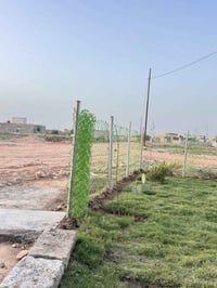 عمود ٦٤٩ • طابو زراعي • تحويل مباشر