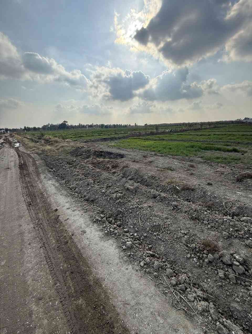 السلام عليكم عندي دوانم طابو زراعي سند 25 فتح بيان وتحويل بالطابو تكدر تسويها مزرعه  موجود كهرباء وموجود مي اساله وسكن موجود في المنطقه وكل الخدمات من مدارس واسواق ومحلات كلشي موجود شارع الارض 8 متر وجه الدونم الواحد 37 متر سعر الدونم 50 واكو ب60 مليون مليون الموقع بغداد التاجي بالقرب من ذراع دجله واليجي ما ارجعه فارغ ***********
