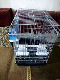 قفص ببغاء • جديد • ملحقات كاملة