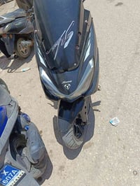 مراوس • اربعه كير