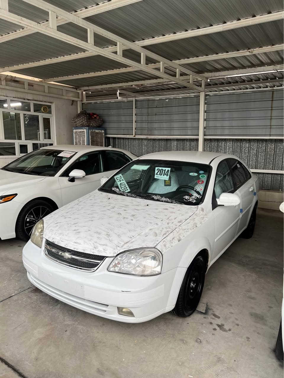 ئۆپترا 2014 ..***********
پارجەو نیو بۆیاغە بی لیدان کەپس نیو دەرکەو جاملغ
مکینە گیر تەقە رەقە بەشەرت نوێ نوێیە 
رقم سنوی هەزە کامل نوێە تحویل بەشەرت
تەخم تایە نوێیە ترایی بەشەرت 
سعر 83 وەرقە و مجال ..*********** أربيل, العراق
