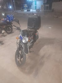 بوكسر • جبلي • مرقمه