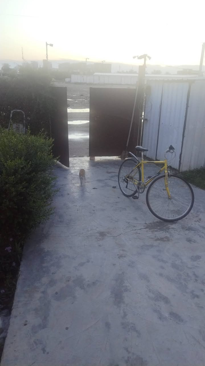 السلام عليكم بوب وشبابيك لبيع باب خشب نفس الشيئ  العامريه شارع العمل الشعبي


**إذا كنت صاحب هذا الإعلان وتريد حذفه لأي سبب، رجاءا أرسل رسالة إلى الدعم الفني**