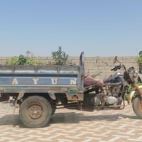 ستوته • دايون • ٢٠١٣