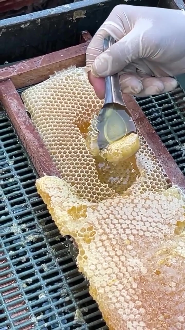يوجد عسل طبيعي 100 بل 100 الله شاهد مخليهن لغرض العلاج السعر 35 الاصلي غالي يغالي


**إذا كنت صاحب هذا الإعلان وتريد حذفه لأي سبب، رجاءا أرسل رسالة إلى الدعم الفني**