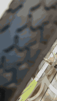 سلام عليكم شباب باسكل للبيع مستعجل عله بيعته محتاج فلوس مكاني نجف الباسكل جديد شوفت عينكم اذا رقمي وبخدمتكم ***********
