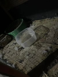 خانات جاهزه • دجاج/حمام • ناصريه مركز