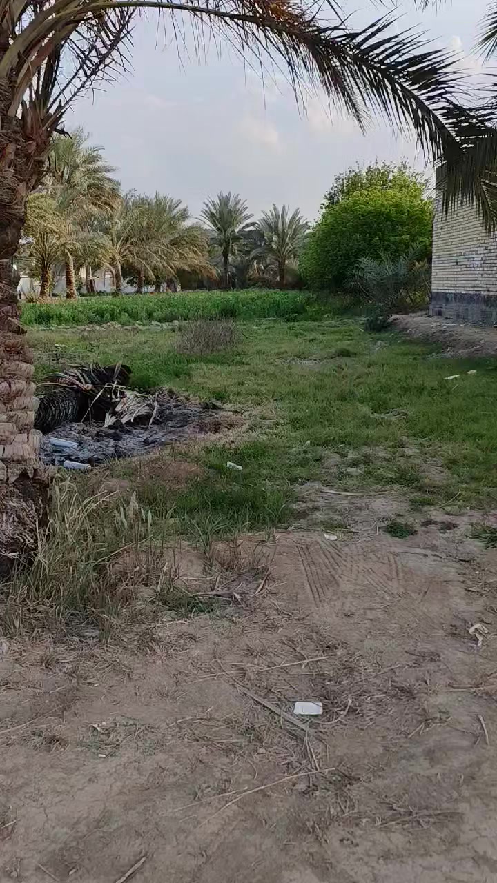 سلام عليكم للبيع قطعه أرض طابو صرف زراعي مساحه 200 متر خدمات كامله سعر 25 مليون بيه مجال قليل مكان محافظه بابل حمزه الغربي قرب الامامين الظاهر والمظهر  ع   استفسار ***********
