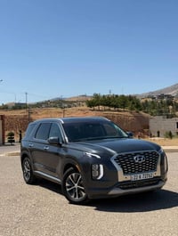 باليسايد ٢٠٢٠ • ٧ راكب • ٤٠ الف