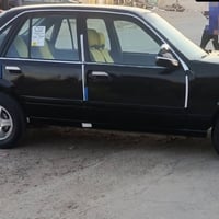 برنس فراشه • محرك زين • مصبوغة