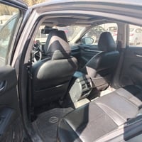 التيما SL • ٢٠١٩ • وارد كندي