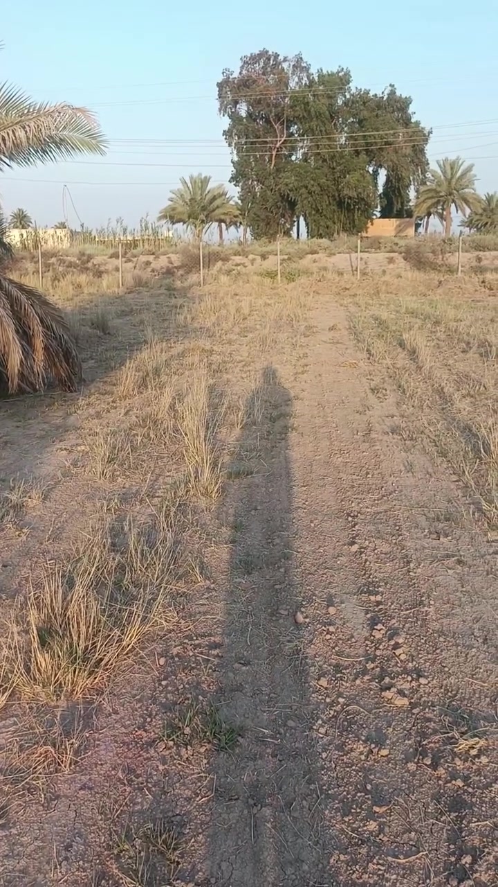 دونمين ونص في أبو غريب منطقة السميلات سند ٢٥ طابو زراعي خدمات ماء كهرباء ومباشر على التبليط هاتف📞 ***********
