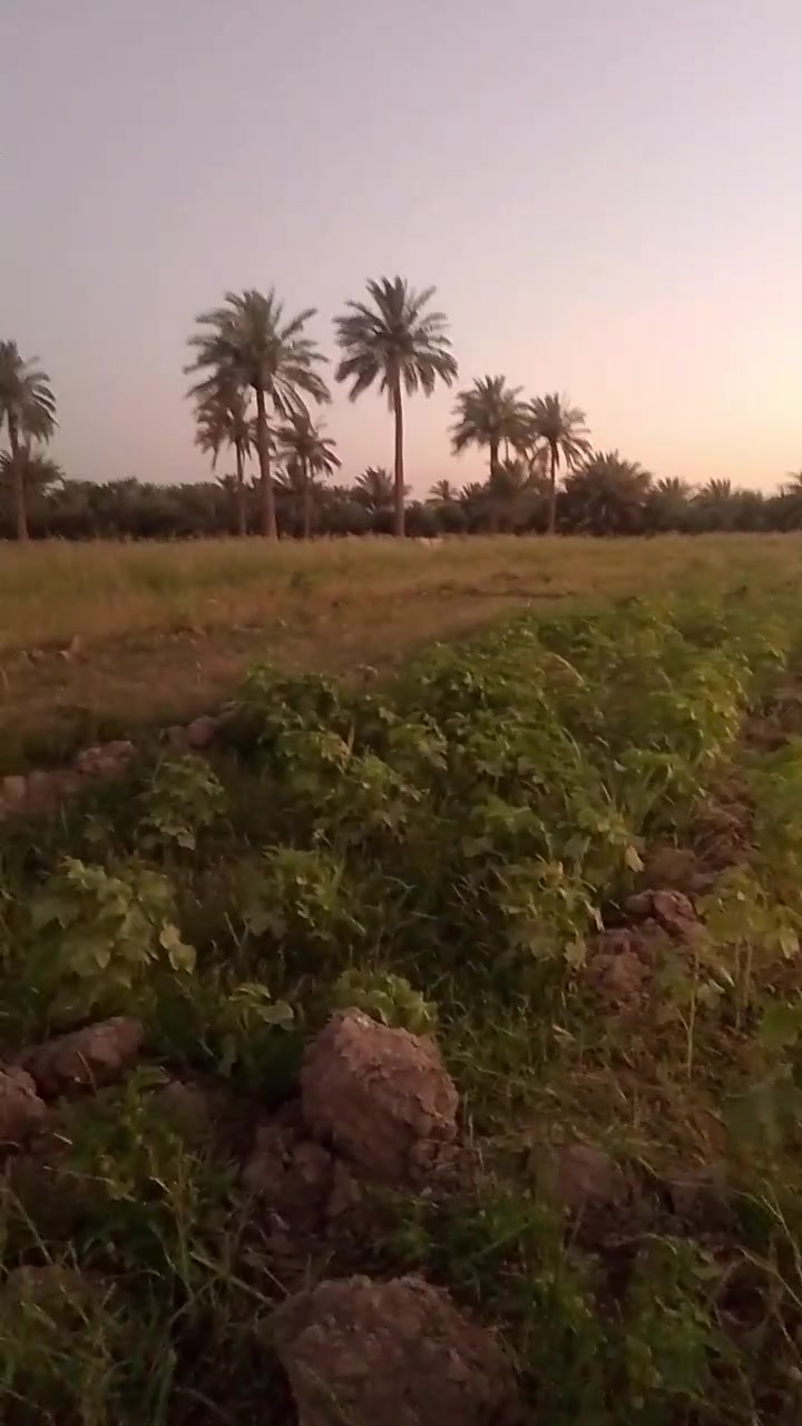 سلام عليكم عندي دونم و 400 متر لوجهيه 28 نزال 103 تحتوي على بيرماه حلو شارع مالته 6متر تبعد عن.شارع.ريسي 100متر.ابوغريب  وراء الناحيه         
قيرمتواجد على الفيس 
تصل ***********
