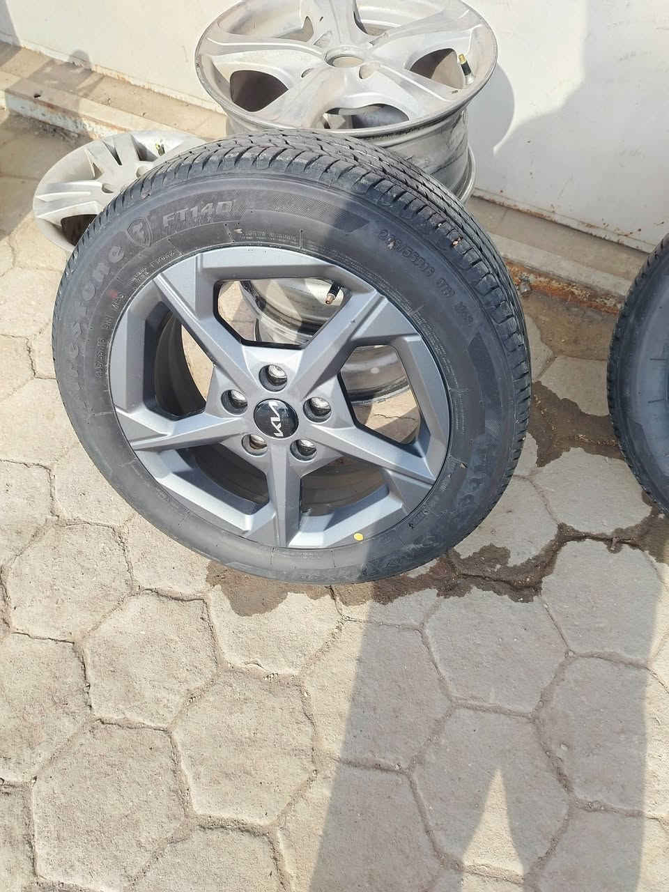 تخم ويل كب سيراتو ٢٥ للبيع او مراوس واسط قضاء الصويره السعر ٣٧٥ ***********
