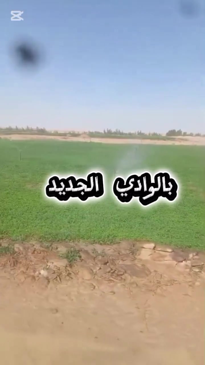 لكبار المستثمرين والشركات الزراعية الباحثة عن مشروع قائم، منتج، وذو عوائد فورية؛ نعرض للبيع منزعة نموذجية مسجلة ملك (نهائي) بموقع استراتيجي بمركز الخارجة - الوادي الجديد، جاهزة تماماً للتشغيل والتطوير.

- 📐 المساحة والتقسيم الإنتاجي:
المساحة الإجمالية: 200 فدان (ملكية خالصة).
قطاع النخيل: 50 فدان مغروسة بالنخيل، منها 20 فدان في مرحلة الإنتاج الفعلي (طرح)، و30 فدان تباعاً.
قطاع الزيتون: 10 فدان زراعات زيتون قائمة.
الأعلاف: 10 فدان زراعات برسيم حجازي (عائد دوري سريع).
مساحات التوسع: باقي المساحة ممهدة وصالحة لكافة أنواع الزراعات والمشاريع الإنتاجية.

- البنية التحتية المائية والري:
الآبار: عدد 2 بئر جوفي بتدفق ممتاز، مجهزين بأقوى الطلمبات الغاطسة والمحركات (بئر بقدرة 80 حصان، وبئر بقدرة 50 حصان) لضمان وفرة المياه وضغطها على مدار العام.
شبكات الري: المزرعة مغطاة بالكامل بشبكات ري حديثة ومتطورة، تشمل 30 فدان بنظام الري بالرشاشات، وباقي المساحات ري بالتنقيط جاهز للزراعة الفورية.

- 🚜 الإنشاءات والمعدات (جاهزية التشغيل):
المباني الإدارية والسكنية: سكن خاص بالعمال + سكن إداري مجهز للإدارة والإشراف.
التخزين والإنتاج الحيواني: مخزن ضخم للمحاصيل والمعدات + حظيرة مواشي مجهزة.
المعدات: المزرعة تشمل جرار زراعي بكامل ملحقاته لخدمة الأرض.

✨ لماذا تعتبر هذه المزرعة استثماراً ناجحاً؟
أوراق رسمية جاهزة: الأرض ملكية نهائية، مما يضمن لك الاستقرار القانوني ونقل الملكية الفوري.
عائد استثماري فوري: وجود 20 فدان نخل في مرحلة الطرح والإنتاج، بالإضافة إلى زراعات الزيتون والبرسيم، يعطيك تدفقاً نقدياً من اليوم الأول.
بنية تحتية متكاملة: لن تحتاج لإنفاق ملايين إضافية على حفر الآبار، تركيب المحركات القوية، تمديد الشبكات، أو بناء السكن والمخازن؛ المزرعة تعمل كمنظومة مغلقة ومكتملة.

#استثمار_زراعي #الوادي_الجديد #الخارجة #مزارع_للبيع #مشاريع_زراعية #نخيل_المجدول #البلح_السيوي #سوق_العقارات_المصري #استثمار_مصر #مزارع_النخيل #شركات_زراعية #رجال_أعمال #مستثمرين_عرب #أرض_ملك


**إذا كنت صاحب هذا الإعلان وتريد حذفه لأي سبب، رجاءا أرسل رسالة إلى الدعم الفني**