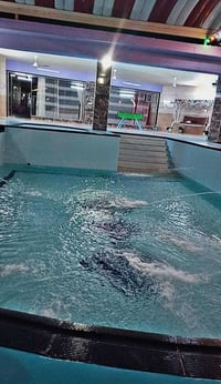 متوفرة طيلة ايام العيد  استمتع بلهدوء وراحة البال لاتفكر ولاتحتار  يمن...