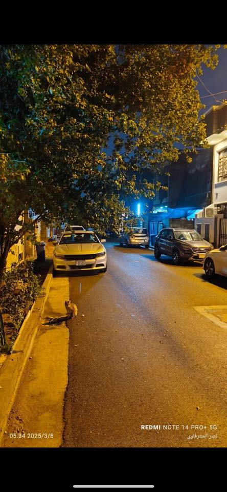 السلام عليكم 
دار للبيع المساحه (100) م حي الجهاد المسأله والعداله موقع مميز قرب مجمع النسيم قرب الشارع العام واجهه 5 نزال 20 طابق واحد بناء سنه (2019) السعر مناسب مباشر مع صاحب الدار للاستفسار (***********)
