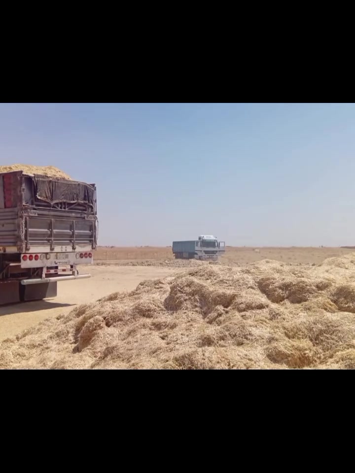 يوجد لدينا تبن درجه اولى الاستفسار على الرقم ***********.       ‏‪***********‬‏
