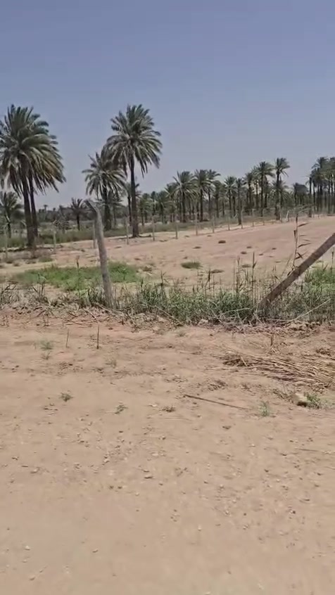 السلام عليكم 
دونم للبيع طابو ملك صرف تحويل مباشر العنوان شارع 100 الرابط بزل حجي علي شارع الوائلي السعر 145 بي مجال للاستفسار الاتصال 
***********
***********
أو زياره مكتب 🛣️ السور الامين شارع 100 قرب مدرسة الطفوف
