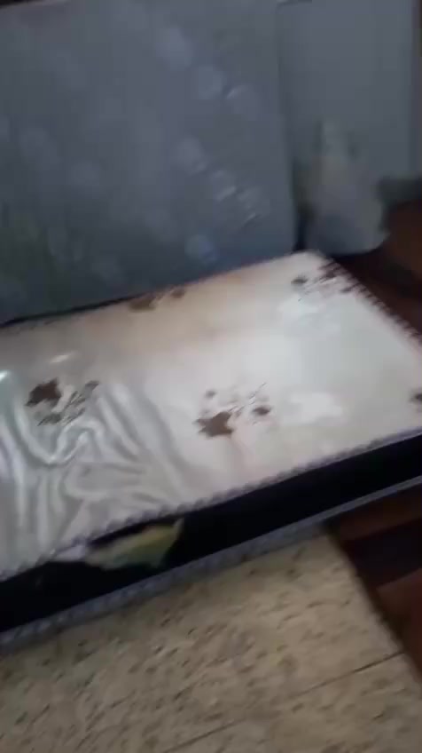 دواشك عدد 2نضيفات


**إذا كنت صاحب هذا الإعلان وتريد حذفه لأي سبب، رجاءا أرسل رسالة إلى الدعم الفني**