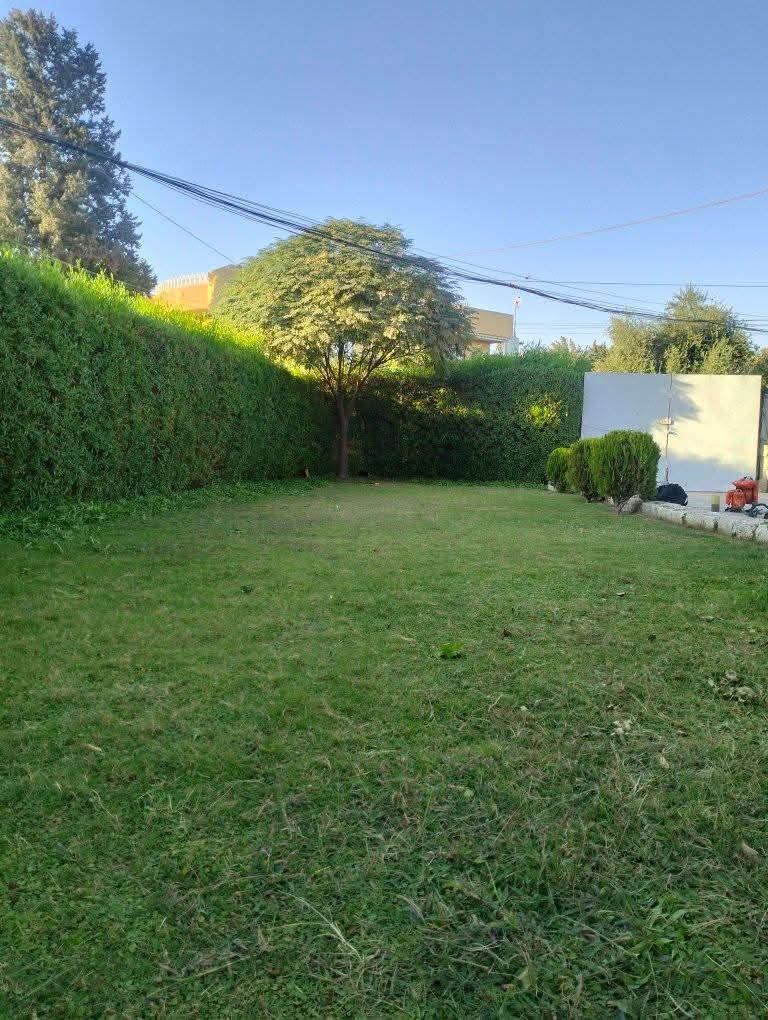 مستعدون لترتيب وهندسه تصاميم الحدائق المنزليه !
🌸تصميم و ترتيب الحدائق المنزليه.م̷ـــِْن جديد
🌸تصميم النينة والاشجار جميع نباتات
🌸زراعة الثيل 
🌸زراعة الاشجار 🌱🌲
🌸زراعة الورود وجميع نباتات
🌸قص الثيل وتحديدة  وترتيبها

العنوان قضاء بلد صلاح الدين ***********
