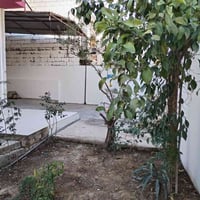 طابو صرف • ٢٤٠م • بعقوبة الحكيم