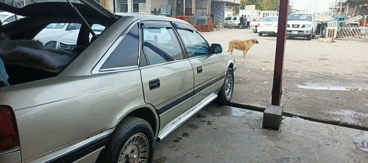 ‎مازدا ٨ و بخ
‎گیرو مکینه بی عه یب 
‎ته قه و ره قه توپ 
‎چوار جام کاره بای 
‎خیاسی نیه 
‎دشبول جوان 
‎
نرخی ٢٦گلا
ارم پلاستیک سلیمانی شۆین که لار 
‎ز٠م ***********
