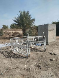 محجر • بابل كفل • فيسبوك