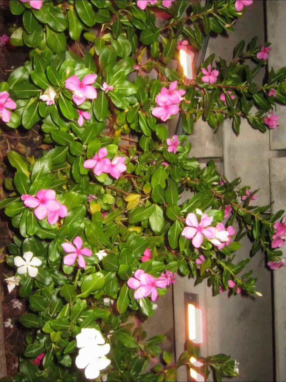 🔹️ كاميرا Canon PowerShot S45
🔹️تتميز الكاميرا بدقة 4.0 ميجابكسل.
🔹️تحتوي على عدسة زووم بصري 3x (ما يعادل 35-105 ملم).
🔹️تستخدم معالج الصور DIGIC لجودة صور عالية وضوضاء منخفضة.
🔹️تتراوح حساسيتها للضوء (ISO) بين 50 و 400.
سعرها:85 مع التوصيل كامل ملحقات كركوك, العراق


**إذا كنت صاحب هذا الإعلان وتريد حذفه لأي سبب، رجاءا أرسل رسالة إلى الدعم الفني**