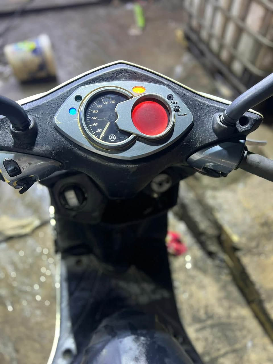 سلام عليكم فحل يابانيه ستان حساس قبق نفخ دراجه كامله خرسه عوزه جاملغ وترتيب مكان شعب مراوس او بيع ***********
