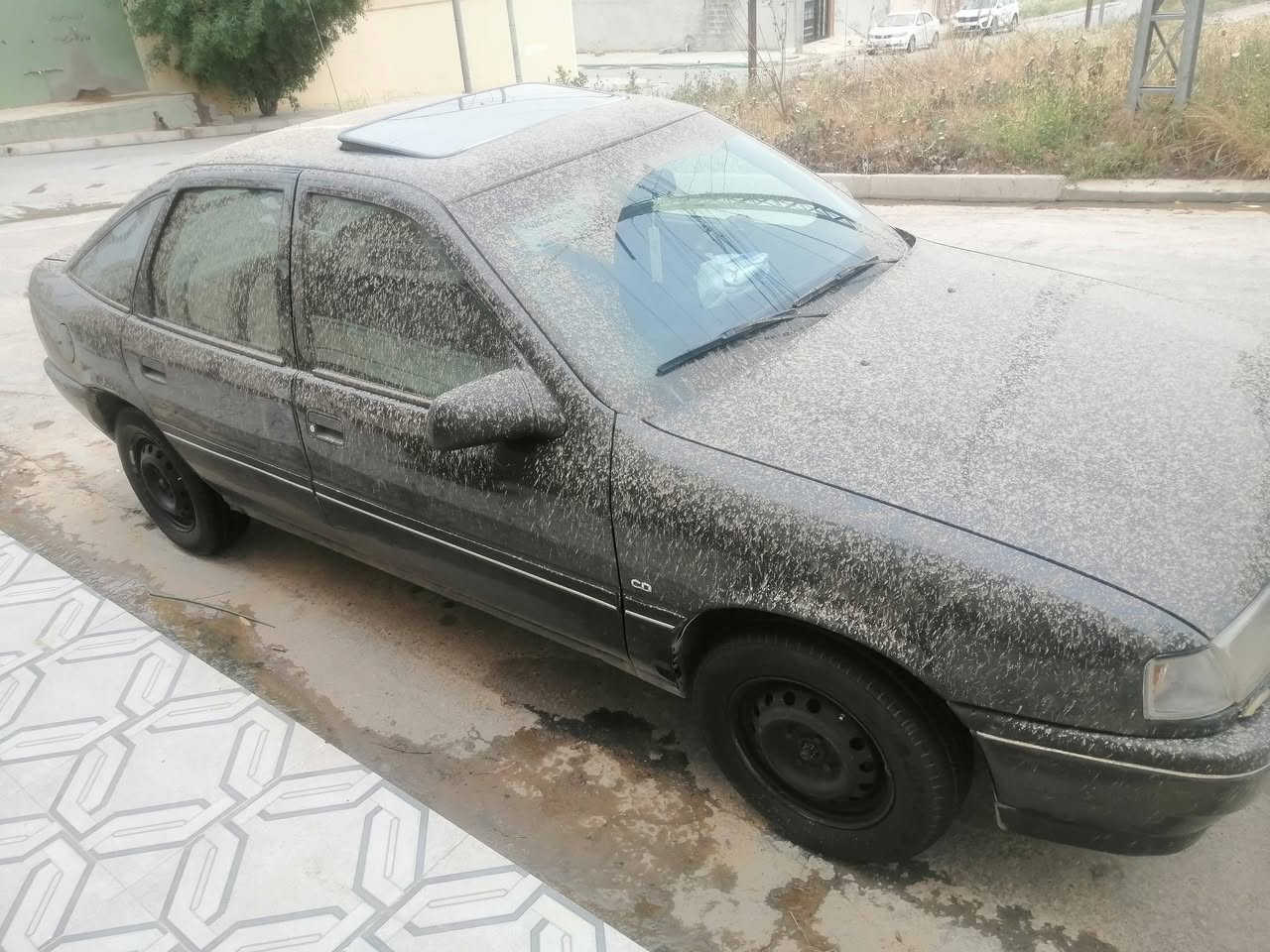 فكترا 18موديل 92 مكينه كصه شرط كير شرط كابون بانزين ⛽ قفل مركزي جامات الأمامي كهرب سلايت داخل نظيف طخم امامي خلفي جديد رقم سنوية وهزة جديدة رقم نينوى دولي تقحيل سقف فقط بيها تصليح دوائر ودراسات فقط
للاستفسار الاتصال على ***********
