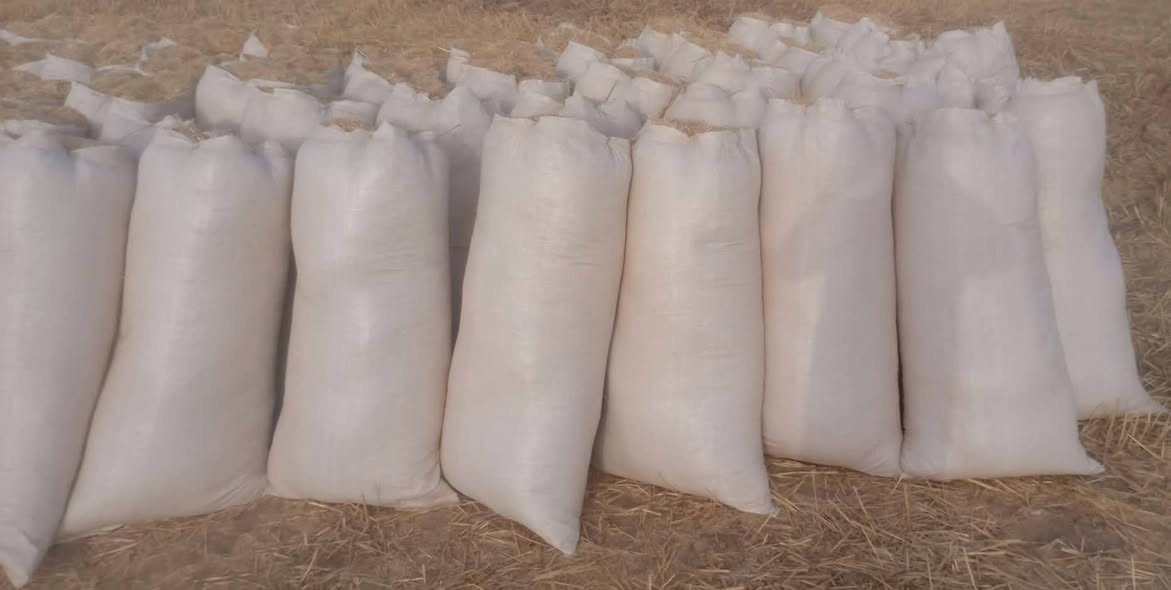 السلام عليكم ورحمه الله وبركاته تبن مطحون للبيع 
قياس 60*/الطول 107 نضيف وترس يوجد توصيل 
للاستفسار الاتصال على الرقم ***********
