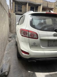 سنتافيا • ٢٠١٠ • رقم كركوك