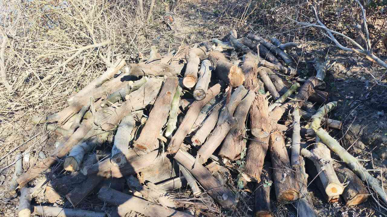 السلام عليكم يوجد حطب گرامي للبيع
اتصال***********
