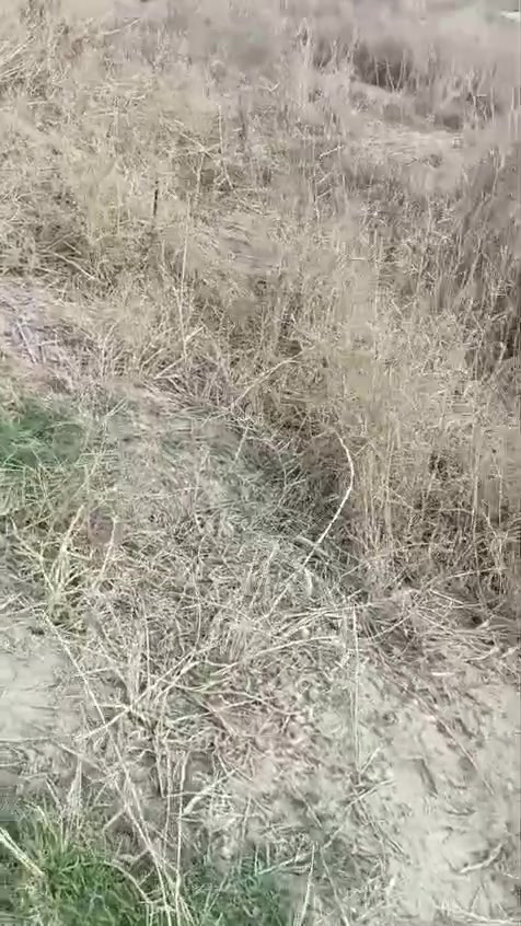 السلام عليكم للبيع انتصل ع رقم ***********

