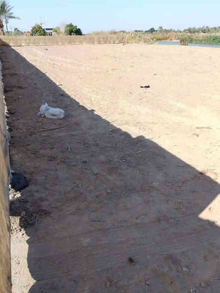 السلام عليكم ارض شاطيه ١  دونم للبيع مكان طريق موفقيه حي الاستفسار الاتصال على الرقم ***********
