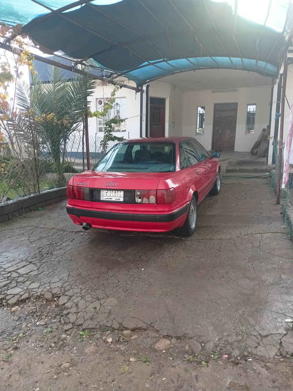 أودي موديل 95نفخ حجم80 كير ومحرك شرط تخم تواير جديد سنويه ماصاقطه كير عادي كابريتر السعر 35وبيهه مجال


**إذا كنت صاحب هذا الإعلان وتريد حذفه لأي سبب، رجاءا أرسل رسالة إلى الدعم الفني**