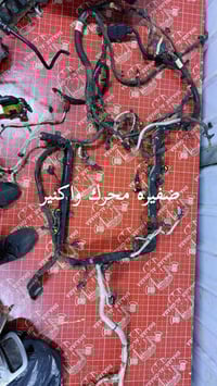 واكنير • ٢٠٢٣ • سيارة