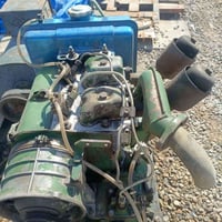 مولد • أردني • ديالى بلدروز