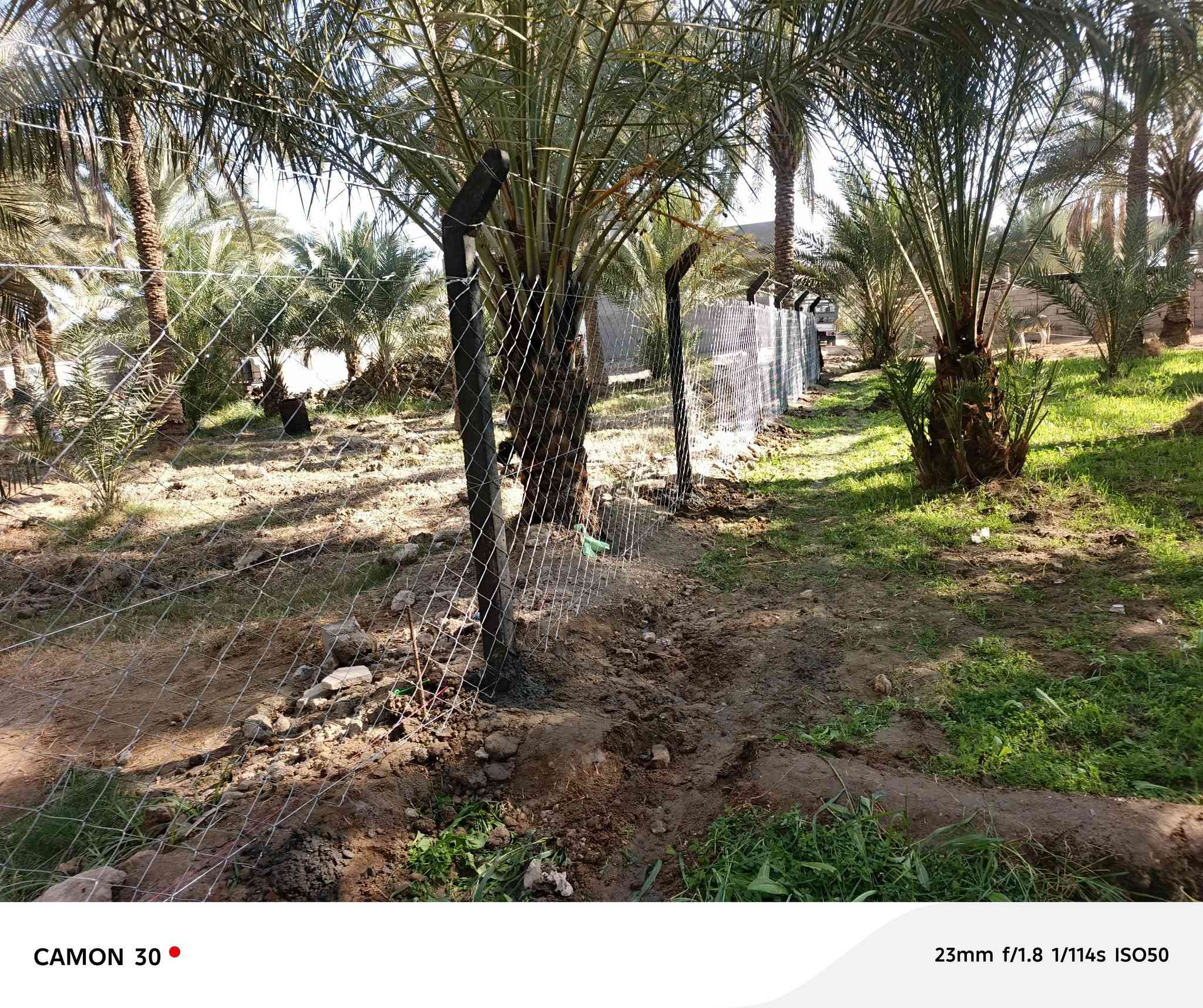 🟣تعلن شركة بابل لاسيجة البيارسي ⁦🟣
🔻عن عمل ونصب جميع انواع اسيجة الBRC ⁦⛏️⁩
🔻وعن عمل جميع انواع الاسيجة العشبية الجميلة 🍀🍀
🔻سعر المتر من 6الف 💸الى 10الف 💸حسب الطلب وحسب نوع السيم ⁦⚒️⁩
🔻يوجد كادر مختص بالعمل 💪
🔻نعمل في كافة محافظات العراق 🚛⁦🚛
🔻للطلب او الاستفسار قم بمراسلة الصفحه او اتصل على الارقام ⁦⬇️⁩
***********
كروب عمل بيارسي سعار مناسبه
